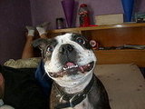 Wally Haha 